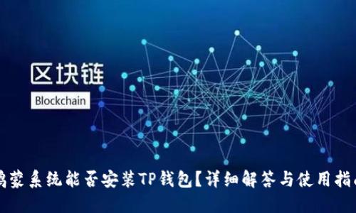 鸿蒙系统能否安装TP钱包？详细解答与使用指南