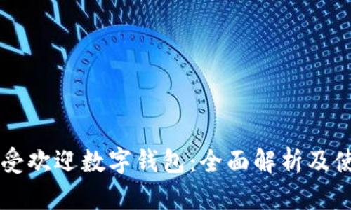 中国最受欢迎数字钱包：全面解析及使用指南