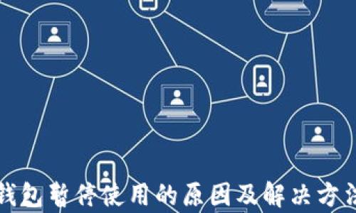 
数字钱包暂停使用的原因及解决方法解析