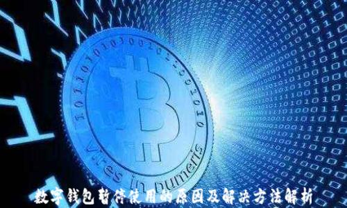 
数字钱包暂停使用的原因及解决方法解析