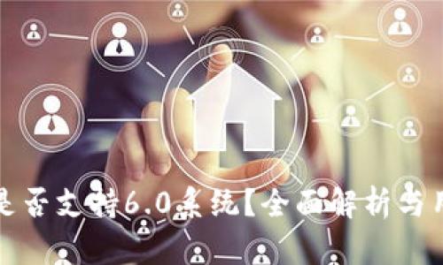 TP钱包是否支持6.0系统？全面解析与用户指南