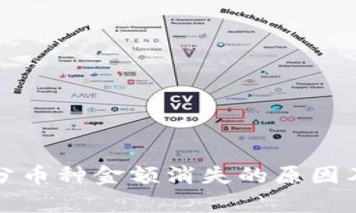 tp钱包部分币种金额消失的原因及解决方法