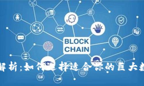 全方位解析：如何选择适合你的巨大数字钱包