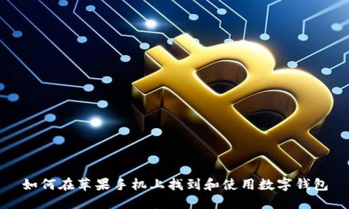 如何在苹果手机上找到和使用数字钱包
