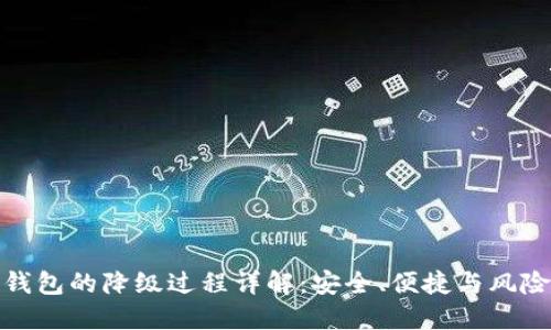 数字钱包的降级过程详解：安全、便捷与风险管理