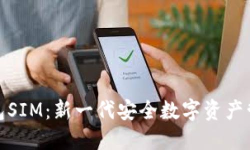 数字货币钱包SIM：新一代安全数字资产管理解决方案