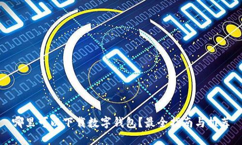 哪里可以下载数字钱包？最全指南与推荐
