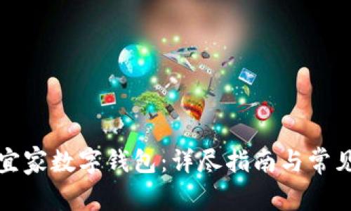 如何使用宜家数字钱包：详尽指南与常见问题解答