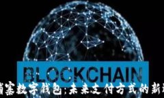柬埔寨数字钱包：未来支