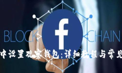 如何在TP中设置观察钱包：详细教程与常见问题解答