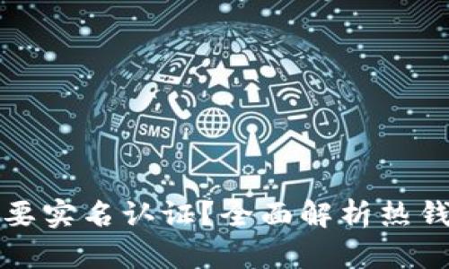 区块链热钱包是否需要实名认证？全面解析热钱包的安全性与合规性