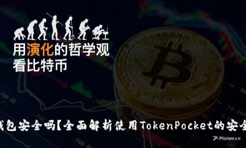 TokenPocket钱包安全吗？全面解析使用TokenPocket的安全性与防范措施