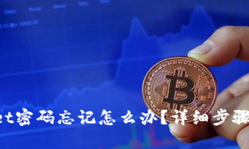 TokenPocket密码忘记怎么办？详细步骤与解决方案