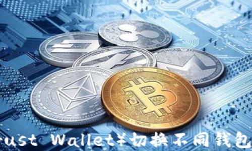 
如何在TP（Trust Wallet）切换不同钱包：全方位指南