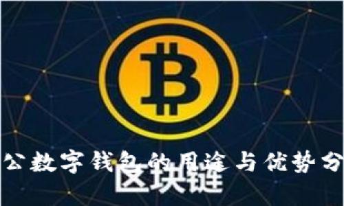 对公数字钱包的用途与优势分析