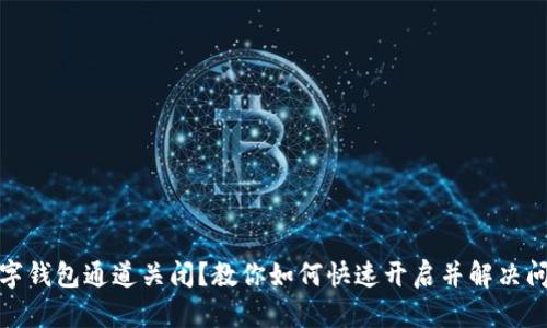 数字钱包通道关闭？教你如何快速开启并解决问题