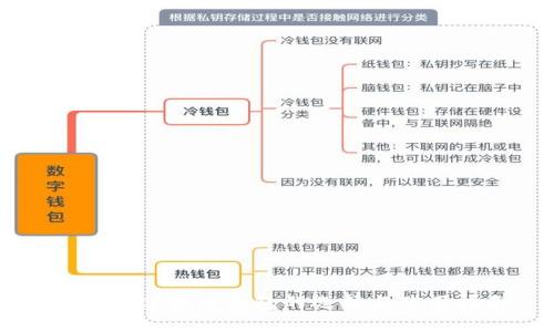 专业数字货币钱包的选择与使用指南