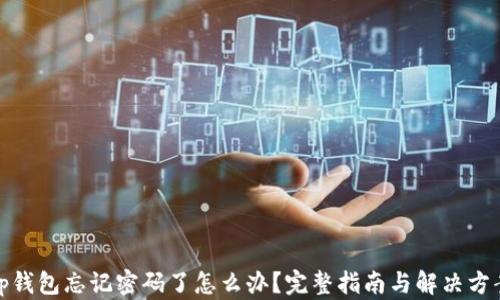 
tp钱包忘记密码了怎么办？完整指南与解决方案