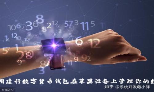 如何使用建行数字货币钱包在苹果设备上管理你的数字资产