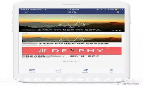 TP钱包授权信查询是否安全？用户须知的全面分析