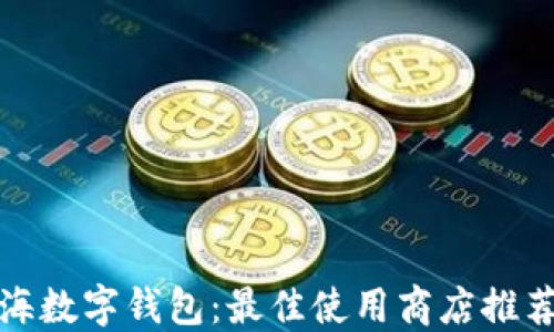 
探索上海数字钱包：最佳使用商店推荐和技巧