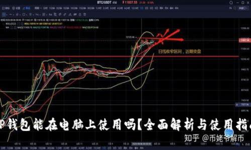 TP钱包能在电脑上使用吗？全面解析与使用指南