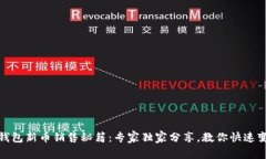 TP钱包新币销售秘籍：专家