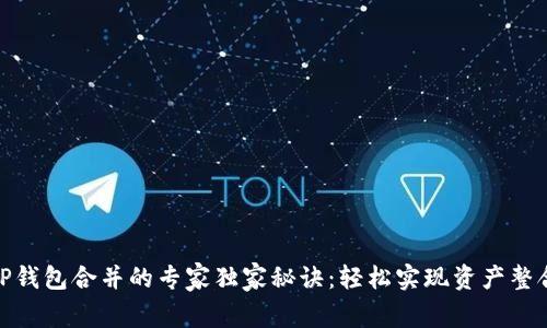 TP钱包合并的专家独家秘诀：轻松实现资产整合