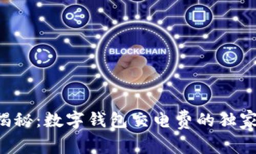 专家揭秘：数字钱包交电费的独家秘诀！
