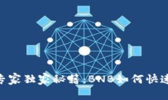 TP钱包专家独家秘籍：BN