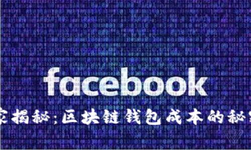 专家独家揭秘：区块链钱包成本的秘密与分析