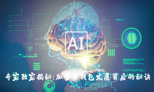 专家独家揭秘：加密币钱包发展背后的秘诀