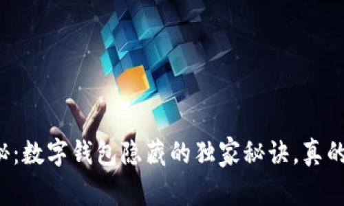 专家揭秘：数字钱包隐藏的独家秘诀，真的安全吗？