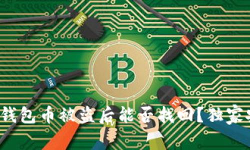 专家揭秘：TP钱包币被盗后能否找回？独家安全秘诀分享