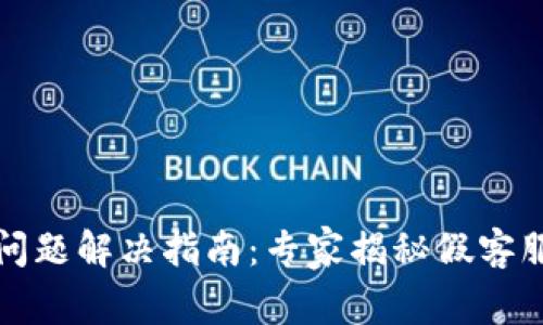 TP钱包交易问题解决指南：专家揭秘假客服的独家秘诀