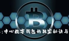 专家揭示：中心数字钱包
