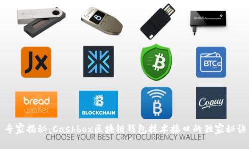 专家揭秘：Cashbox区块链钱包技术接口的独家秘诀