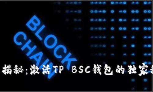 专家揭秘：激活TP BSC钱包的独家秘诀！