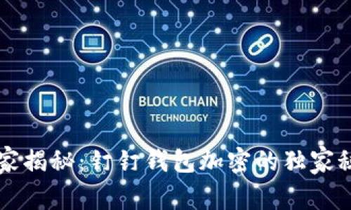 专家揭秘：钉钉钱包加密的独家秘诀