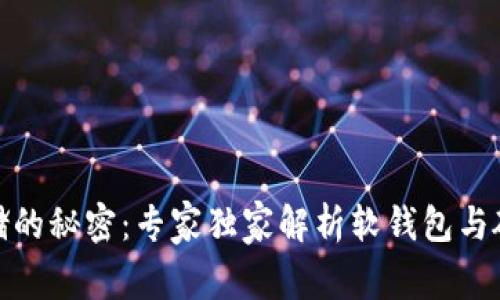破解数字货币存储的秘密：专家独家解析软钱包与硬钱包的应用秘诀