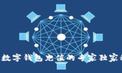 工行数字钱包充值的专家