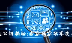 TP钱包公链揭秘：专家独家