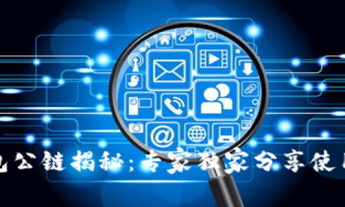 TP钱包公链揭秘：专家独家分享使用秘诀