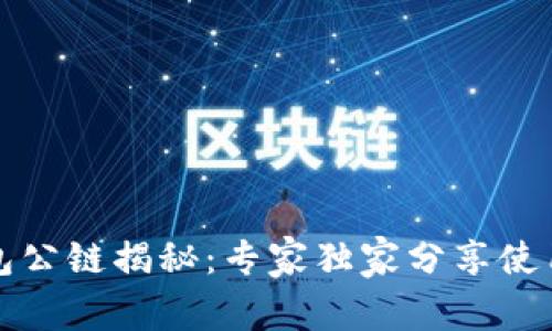 TP钱包公链揭秘：专家独家分享使用秘诀