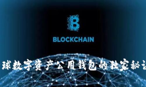 专家揭秘：全球数字资产公用钱包的独家秘诀与选择指南