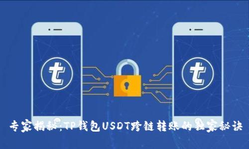 专家揭秘：TP钱包USDT跨链转账的独家秘诀