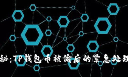 专家独家揭秘：TP钱包币被偷后的紧急处理与查找秘诀
