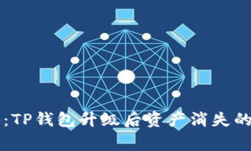 专家揭秘：TP钱包升级后资产消失的独家秘诀