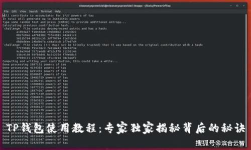 TP钱包使用教程：专家独家揭秘背后的秘诀