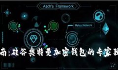 实用指南：硅谷奥特曼加密钱包的专家独家秘诀